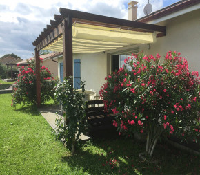 Filet D'ombrage 4x5m Marron 80% - Toile Pare-soleil Pour Pergola, Jardin, Terrasse, Serre, Protection UV