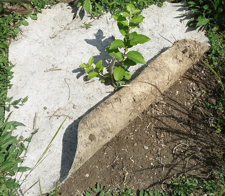 A SAISIR : Lot de 10 dalles de paillage 50x50cm 100% chanvre