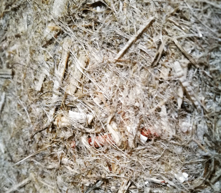 A SAISIR : Lot de 10 dalles de paillage 50x50cm 100% chanvre