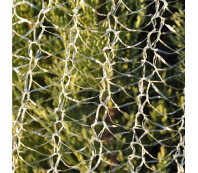 Filet à sapin - 34cm x 3000m