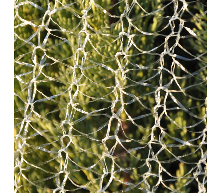 Filet à sapin - 34cm x 3000m