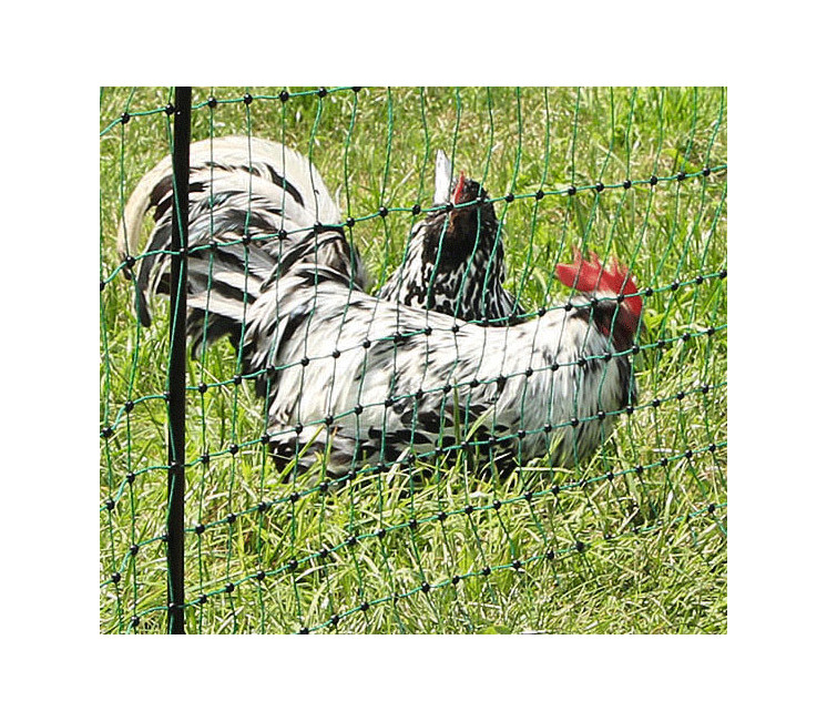 Tunnel de protection en grillage à poule, vente au meilleur prix