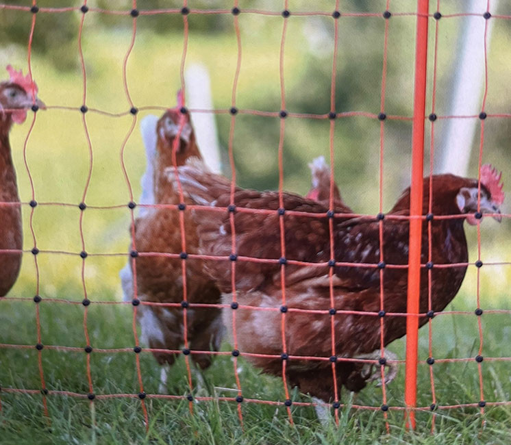 Poulailler Amovible 50m (filet + piquets)