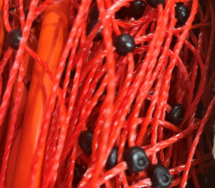 Poulailler Amovible 50m (filet + piquets)