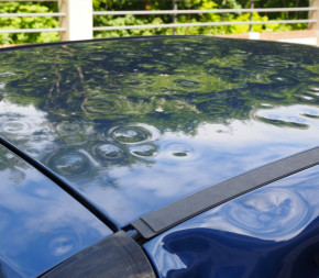 Filet anti-grêle - 4 x 7m