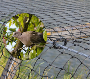 Filet anti-oiseaux Filet de protection JARDIN SPS Filets