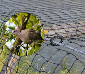 Filet Anti-Oiseaux en Maille Filet de Protection Filet de Protection Filet  de Jardin Filet de Bassin Filet de Volière Filet d'étang Contre Les Oiseaux  Robuste Anti-UV (15m x 3m)