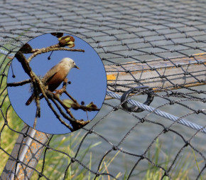 Filet de Protection Anti-Oiseaux Birdnet de Nortène 