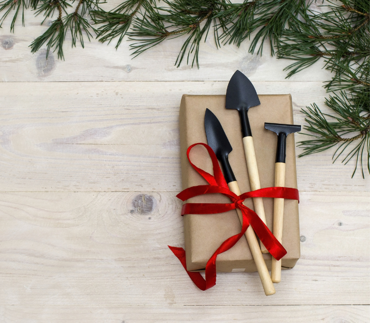 Cadeau offert par Direct-Filet.com (00)