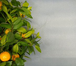 Achat Brise Vue Gris 0.60 x 4m -... pas cher