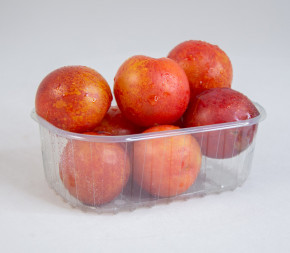 Barquette PET 250g brugnon Barquette PET 250g brugnon