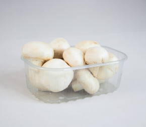 Barquette PET 250g champignon Barquette PET 250g champignon