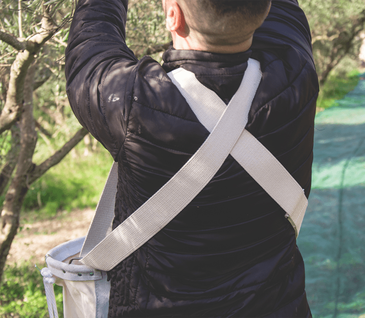 Sac de récolte tablier en coton - harnais Sac de récolte tablier en coton - harnais