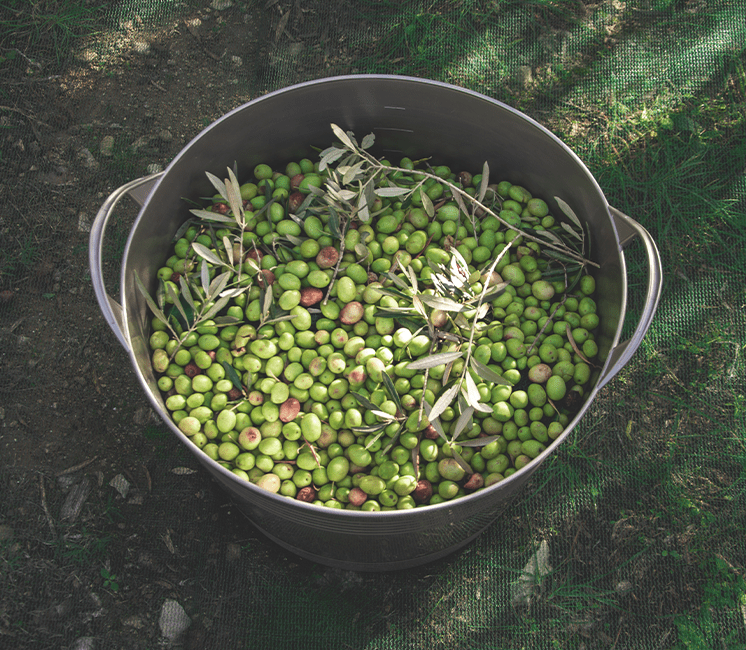 Panier Souple 40L avec anses