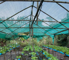 Filet d'ombrage 50% pour serre et cultures