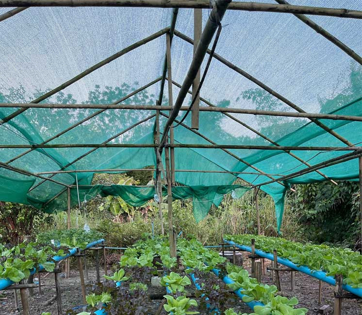 Filet d'ombrage 50% pour serre et cultures