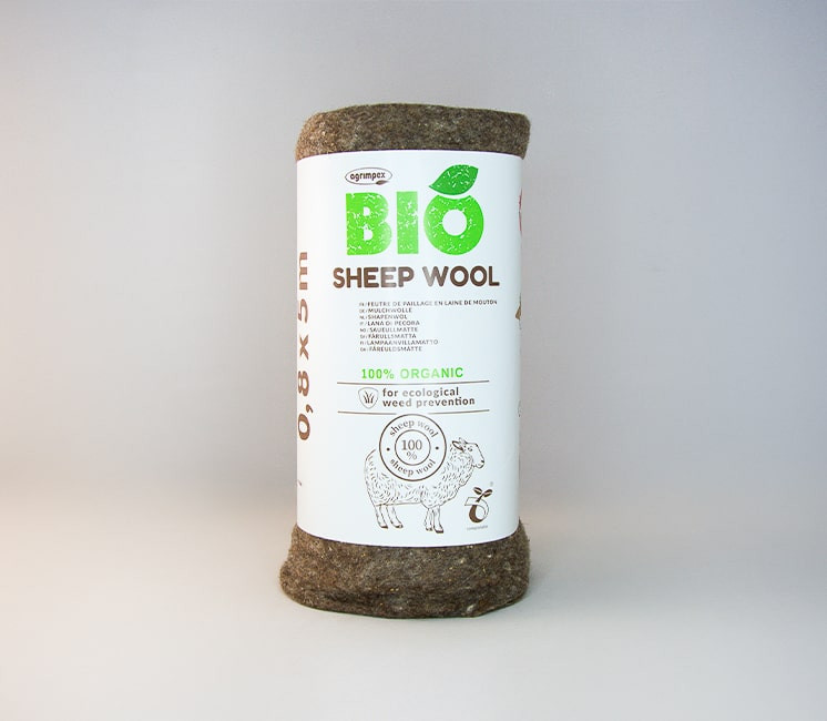 paillage laine de mouton