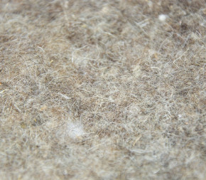 paillage laine de mouton