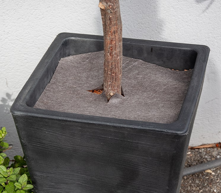 Paillage biomulch
