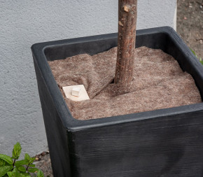 agrafes en bois paillage