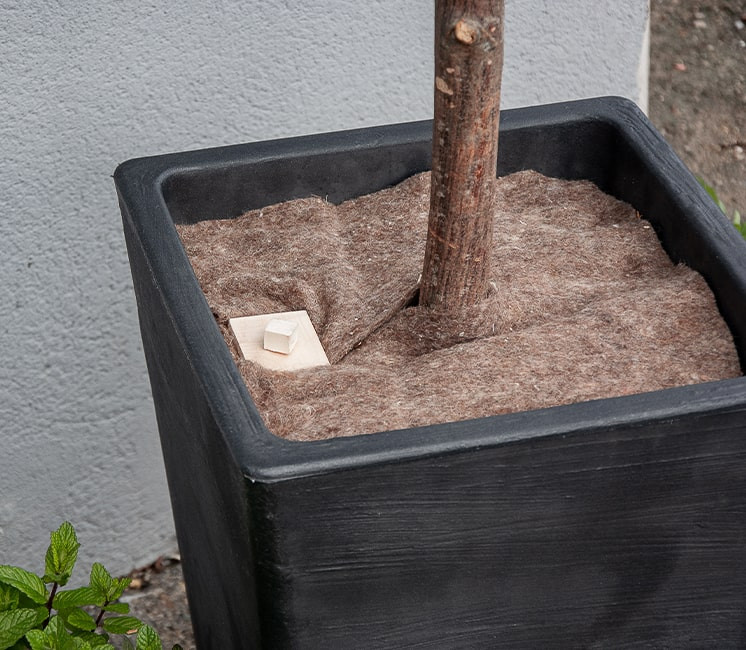 agrafes en bois paillage