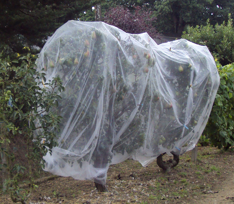 Chute de Filet anti-insecte Alt'Carpo
