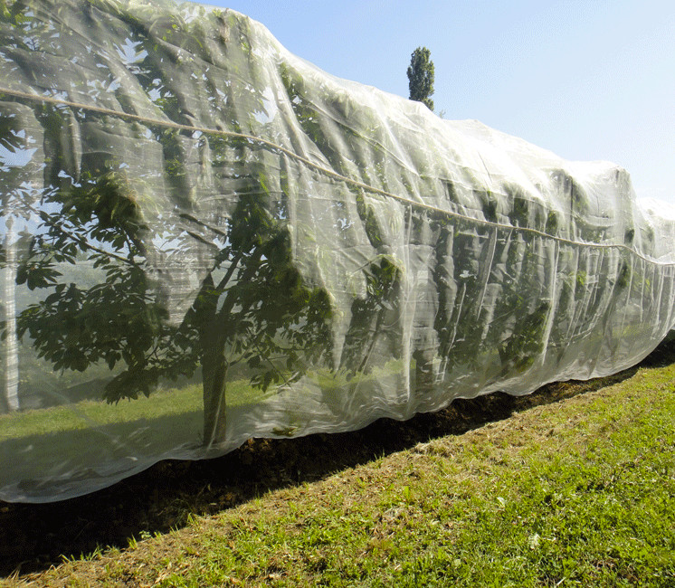 Chute de Filet anti-insecte Alt'Droso