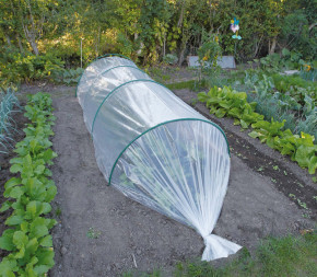 film de forçage 30 microns