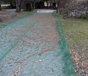 Flet de récolte 55g 6x90m