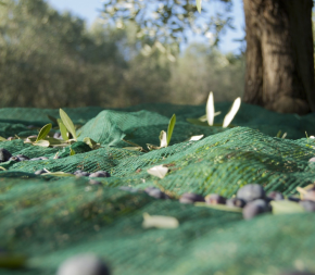 Flet de Récolte 55g - 4mx80m