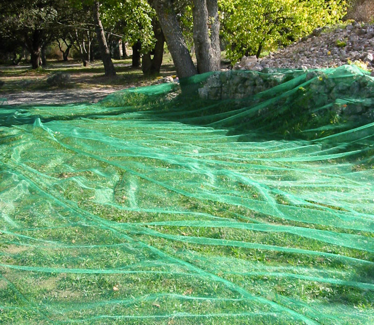 Filet Anti Feuille Piscine 100g/m² - 6mx12m