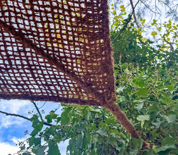 voile d'ombrage coco détail