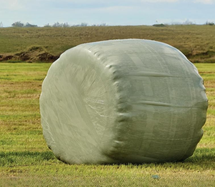 Film enrubannage 750mm vert