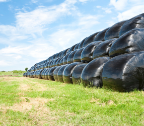 Film enrubannage SiloForce PRO 500mm x 1800m – Qualité 7 couches haute résistance