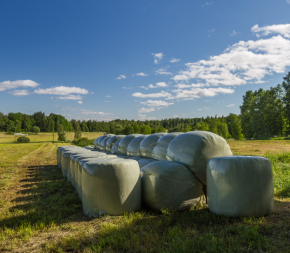 film enrubannage 750 vert