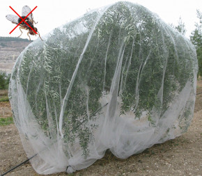 Achat Filet anti-insecte... pas cher
