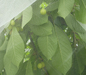 Filet anti-insecte Alt'Mouche - 12x12m