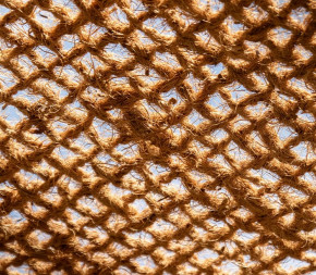 voile d'ombrage coco maille
