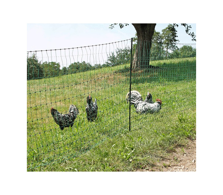 Poulailler Amovible 25m (filet + piquets)