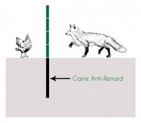 Gaine Anti Renard 70cm