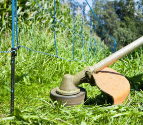 Clôture Anti-Sanglier 50m (Filet + piquets) Clôture Anti-Sanglier 50m (Filet + piquets)