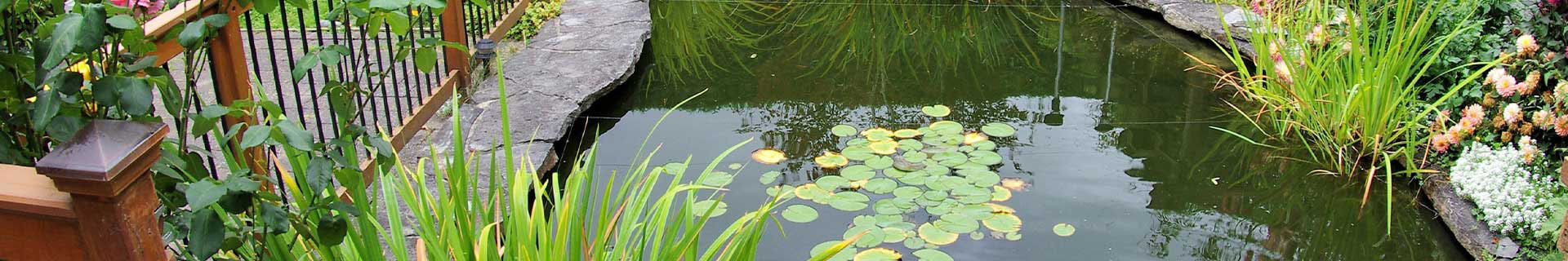 Bâche & liner pour bassin - Gamm vert