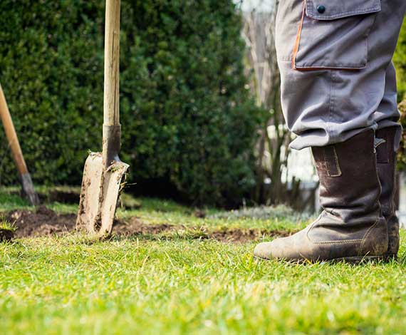 Aménagement du jardin et du potager