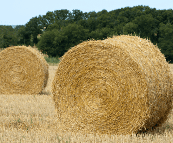 Roundballer et enrubannage