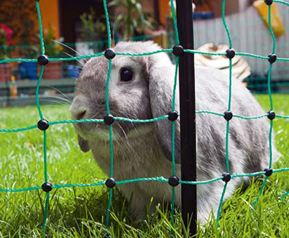 Filets pour animaux