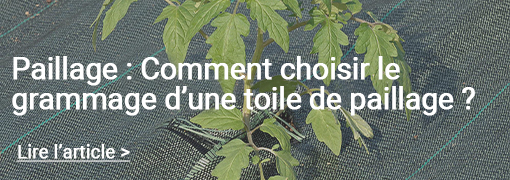 Comment choisir le grammage d'une toile de paillage ? 