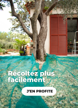 Récolte